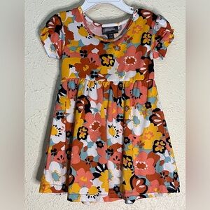 Bundle Lot of girls clothes size 9-12 months